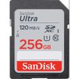Carte mémoire flash - SANDISK -  - 256GB -  -  (SDSDUN4-256G-GN6IN)-0