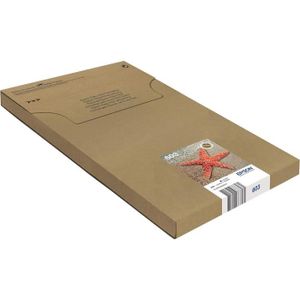 CARTOUCHE IMPRIMANTE Epson EasyMail Multipack 603 Etoile de Mer,Cartouc