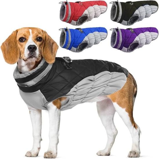 Manteau pour on sale chien beagle