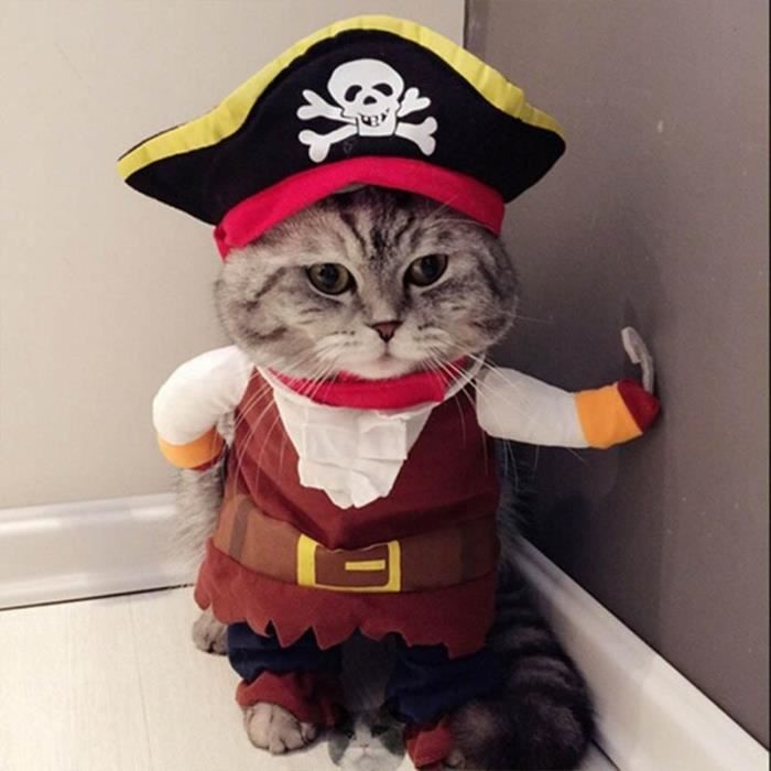 Manteau Blouson,Vêtements amusants pour chats Déguisement Pirate pour chat, Costume corsaire d'halloween pour - Type pirate-S
