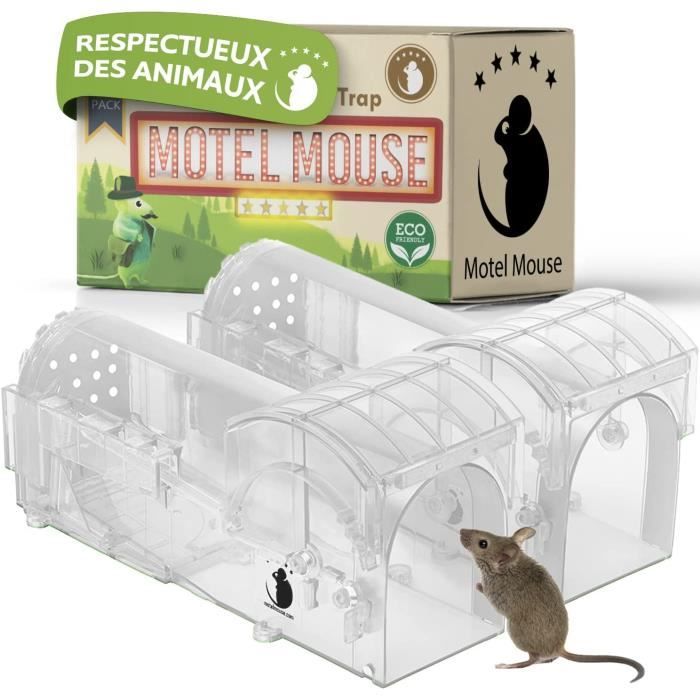 Pièges à Souris Collants - Lot De 18 Pièces - Très Adhésif, Pliable - Pour Souris, Rats, Cafards, Insectes