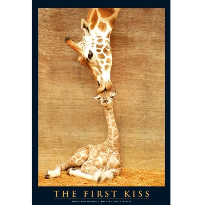 https://www.cdiscount.com/pdt2/9/9/1/1/700x700/auc8716241000991/rw/poster-girafe-et-girafon.jpg