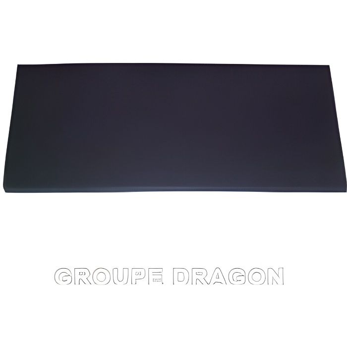 Filtre charbon, Hotpoint-Ariston hotte - 285 mm x 175 mm (2 pièces)