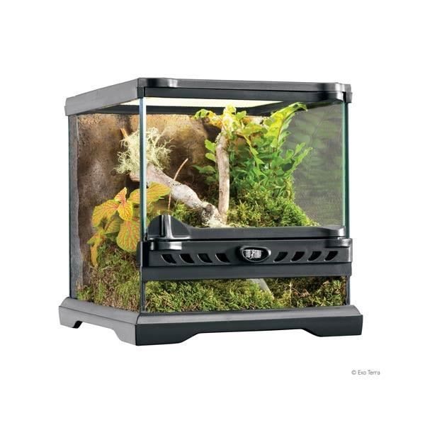 Terrarium nano/large, 10,5 l, 22 x 22 x 22 cm exo terra