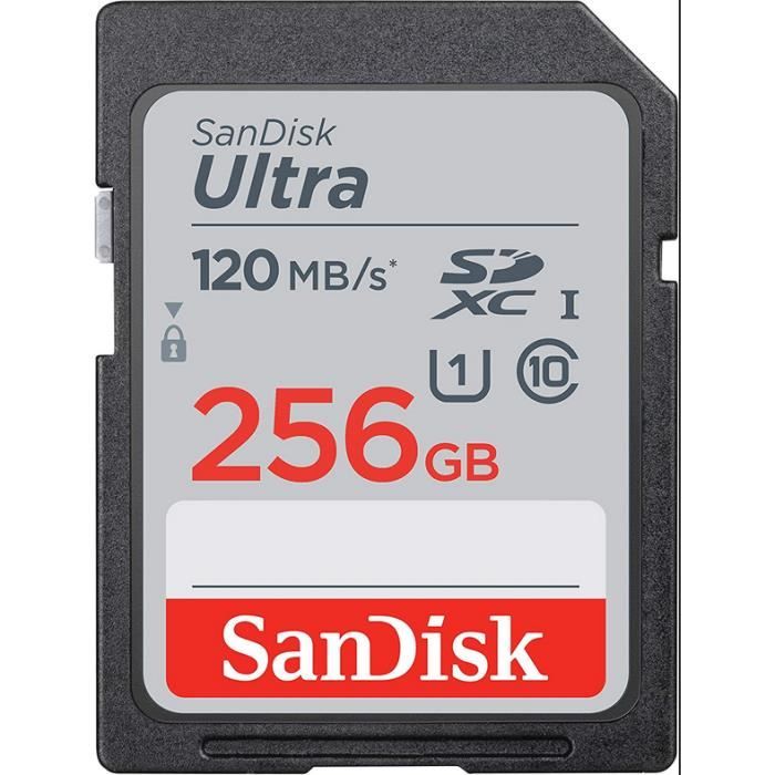 Carte mémoire flash - SANDISK - - 256GB - - (SDSDUN4-256G-GN6IN)