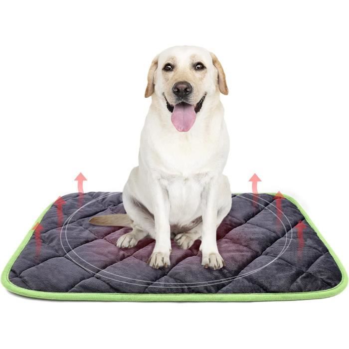 Coussin Auto-chauffant Pour Chat Et Chien 60x45 Cm - Sans électricité, Lavable - Réfléchit La Chaleur Corporelle