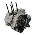 Carter moteur mecaboite oem derbi senda/smt/rcr/sx50/rx50 euro3/euro4 (cm1503065)-1