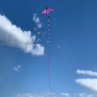 Cerfs-Volants Pour Enfants, Cerfs-Volants Aigle 3D Pour Enfants Et Adultes, Cerfs-Volants À Une Cerfs-Volants Pour Enfants, Cerfs-Volants Aigle 3D Pour Enfants Et Adultes, Cerfs-Volants À Une