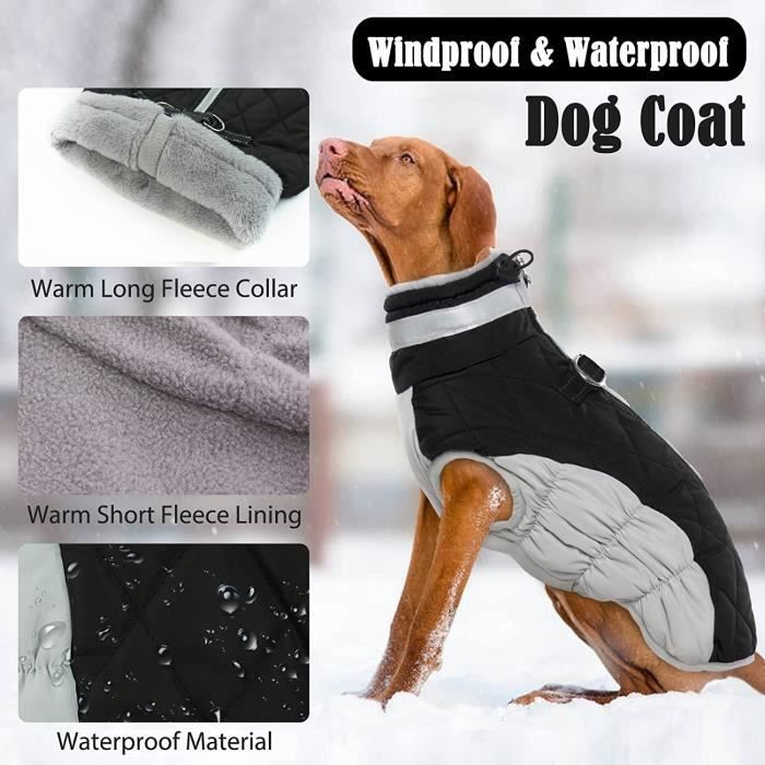 Manteau pour chien bouledogue francais hotsell