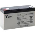 Batterie plomb AGM Y12-6L 6V 12Ah YUCEL - Unité(s)-0