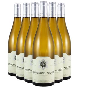 VIN BLANC Domaine Bzikot Bourgogne Aligoté 2022 - Vin Blanc 