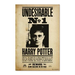 AFFICHE - POSTER Affiche Harry Potter Indéchirable N1