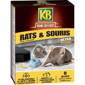 KB Répulsif Rats et Souris Ultrason, 1 pièce, Taille Unique