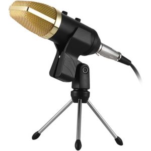 MICROPHONE Microphone À Main Mini-Microphone Microphone À Con