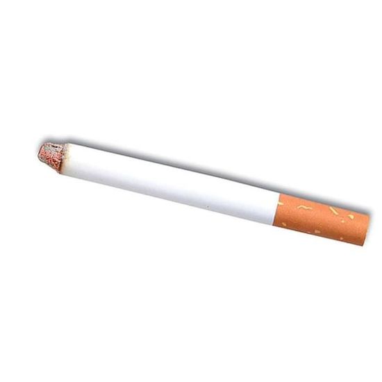 WPN Fausse Cigarette allumée (à l'unité) - Cdiscount Au quotidien