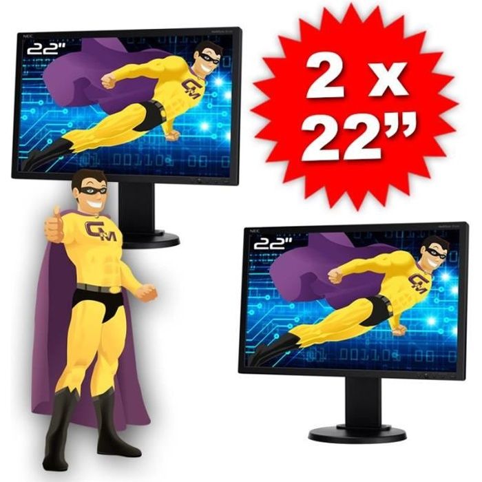 Lot DUAL SCREEN 2 Ecrans PC Pro 22\