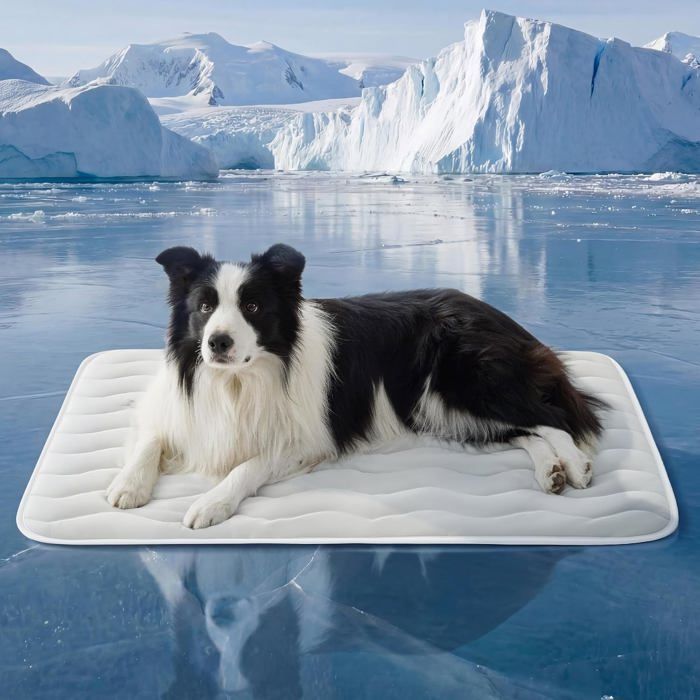 Bedsure Cooling Mat Medium Size Dog - Q-Max> 04 mince caisse de refroidissement respirable coussin intérieur pour animal de
