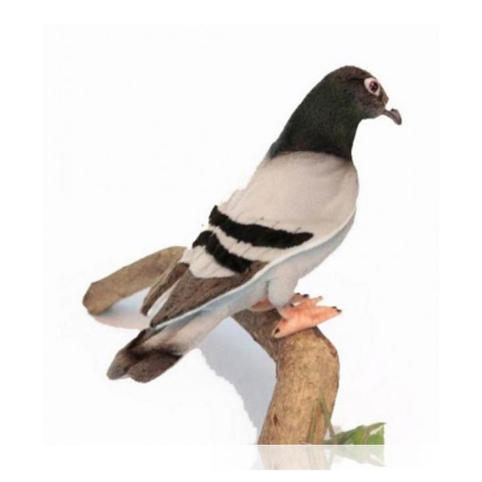 Peluche Pigeon Voyageur HANSA 20 cm Multicolore Interieur Enfant Cdiscount Jeux Jouets
