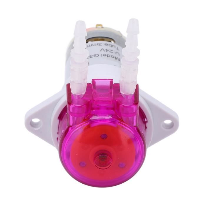Pompe Péristaltique Miniature Portable G628-2 Double Tête - Débit 9~53 Ml/min - 100-240V - Auto-amorçante - Prise UE