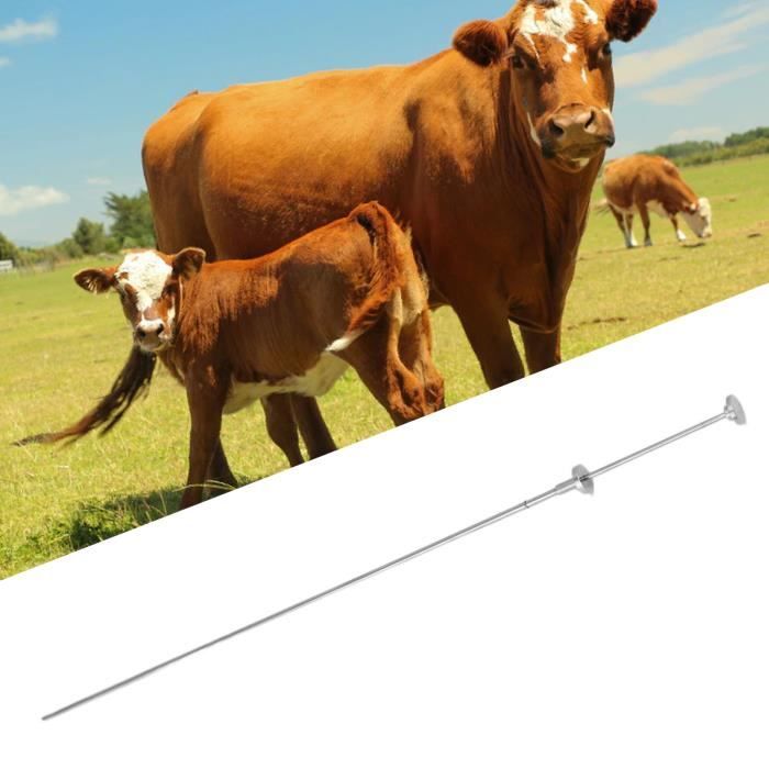 Outil d'insémination de vache Tige d'insémination de vache 304 outil d