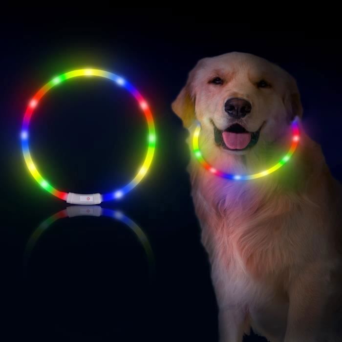 Collier Chien Lumineux Rechargeable et Etanche, 4 modes d'éclairage, 12 LED haute luminosité