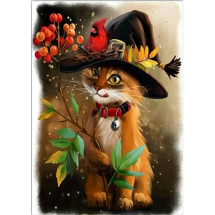Peinture Par Numero Chat Orange Oiseau Rouge Sur Chapeau Noir Peinture En Diamant 5d Strass Complet Diy Bricolag Achat Vente Peinture Au Numero Peinture Par Numero Chat Cdiscount