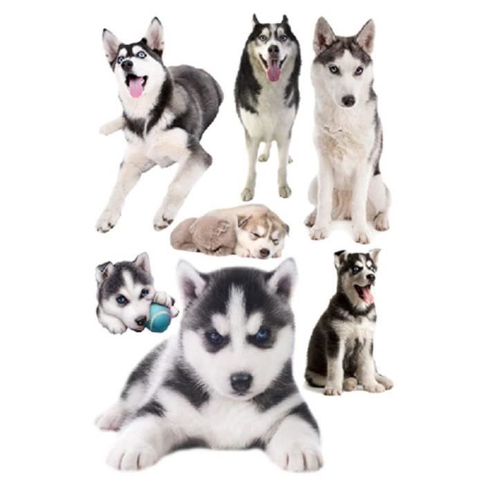 Autocollant Mural Animaux 3d Pvc Impermeable Chiot Husky Motif Sticker Amovible Pour Salon Chambre A Coucher Salle Cdiscount