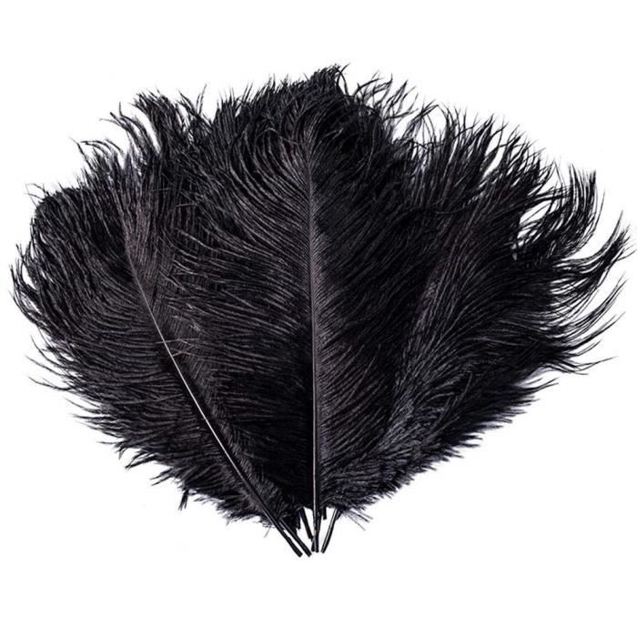 Noir Plume d/'autruche