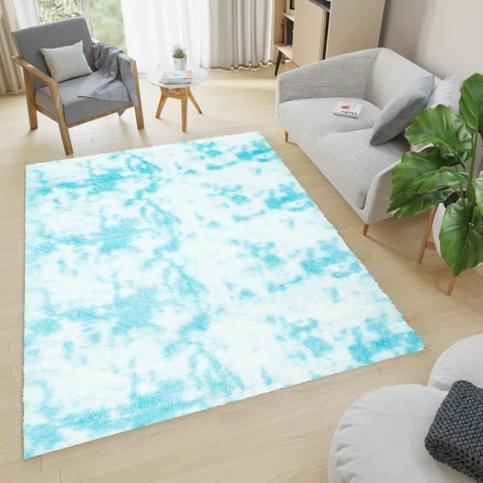 BEIMO Tapis Vintage 120x170cm Lavable Machine - Tapis Salon Antidérapant Bleu - Pour Chambre, Cuisine, Entrée
