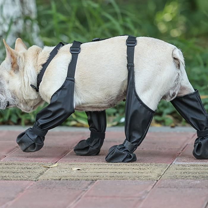 Bottes à Bretelles Imperméables Pour Chien - Pantalon Intégré Anti-saleté - Hiver Et Pluie - Taille M - 9