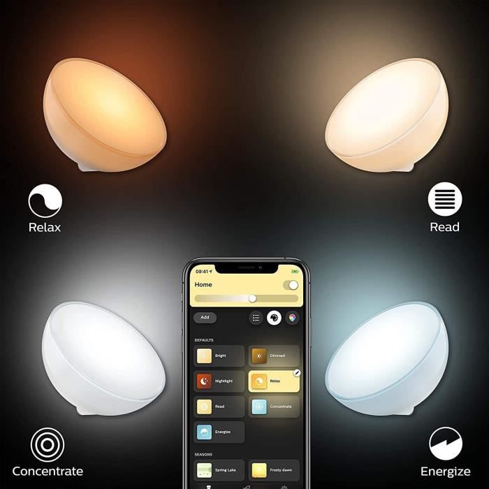 Lampe portable connectée Philips Hue Go White and Color