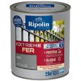 RIPOLIN Peinture pour Fer Extérieur - Gris Métal, 0,5L-0