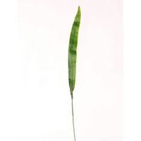 artplants.de Feuille de glaieul Artificielle Juno, Vert, 40cm - Fausses Feuilles - Feuille synthétique