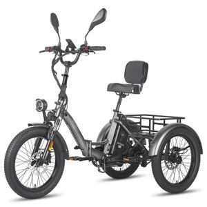 Tagtuell Tricycle Adulte 20 Pouces – Avec Panier 20kg, Phare Et Freins – Vélo 3 Roues Pour Courses Et Loisirs