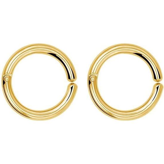 Pince à Oreille (Clip) En Inox - Multicolore (Argent, Or, Noir, Rose) - Neuf Sans Emballage