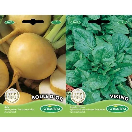 Graines Biologiques Epinard Matador - Planète Agrobio