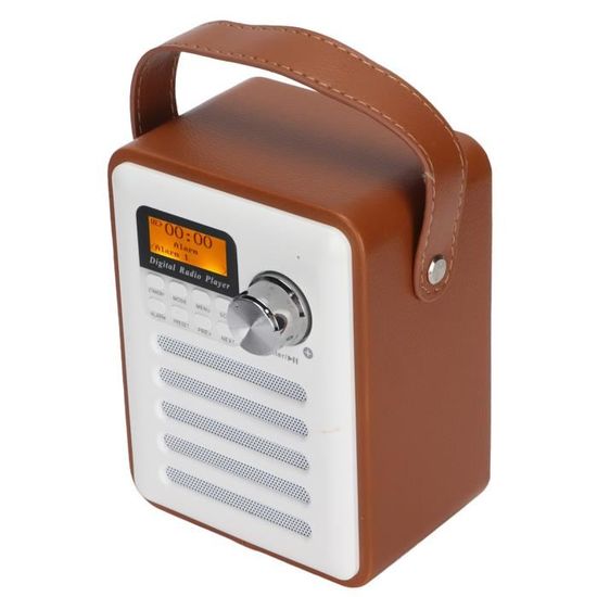 Radio Portable DAB+/FM Et Bluetooth – Écran 2,4", Batterie Lithium | Pour Pêche, Camping, Voyage | Compacte, Légère