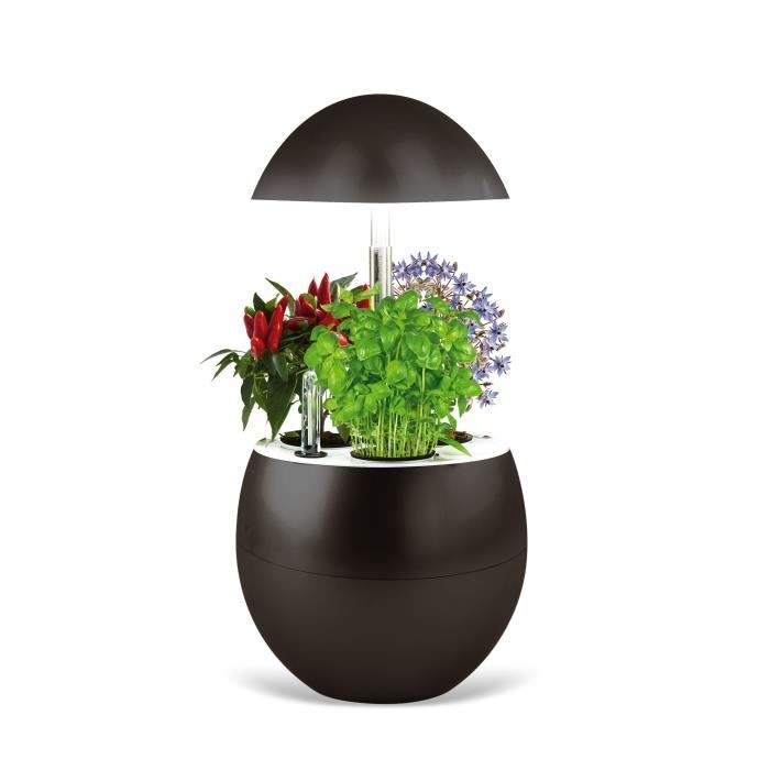 Jardin d'intérieur Vilma avec Kit de démarrage et puce NFC - Couleur Charbon