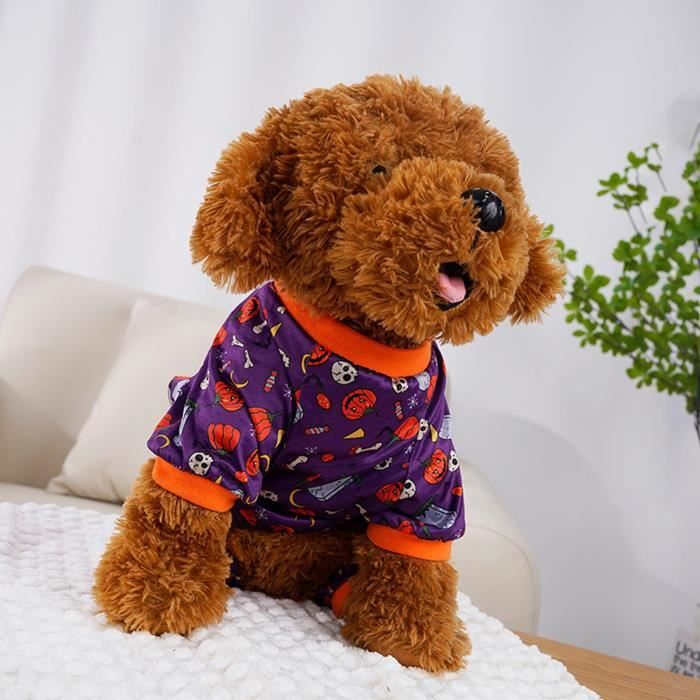 Chien pyjama discount