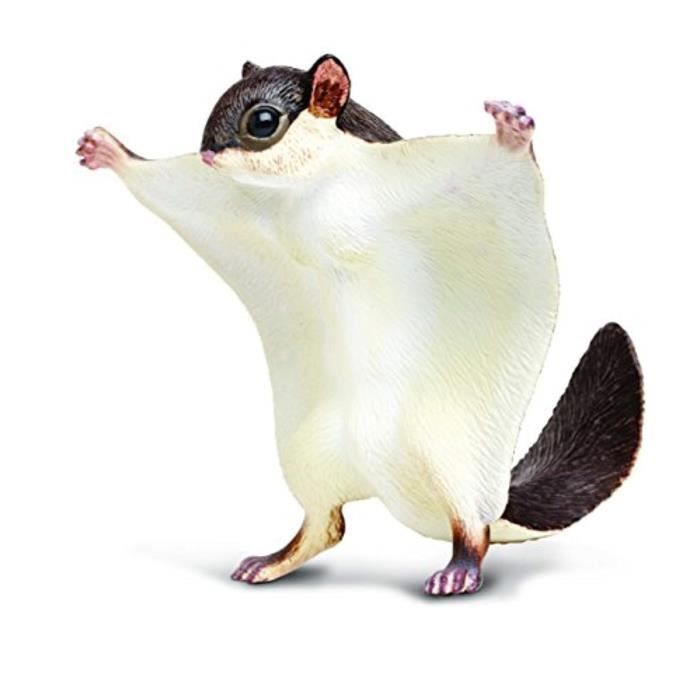 Figurine Miniature Extx3 Safari Ltd Creatures Incroyables Ecureuil Volant Cdiscount Jeux Jouets Figurine Miniature Extx3 Safari Ltd Creatures Incroyables Ecureuil Volant Cdiscount Jeux Jouets
