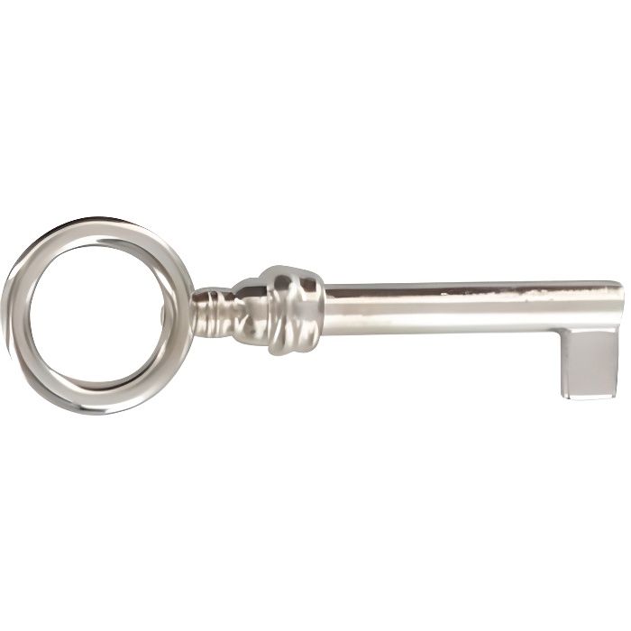 Clef Anneau Nickel Luisant Modele Mdc Achat Vente Serrure