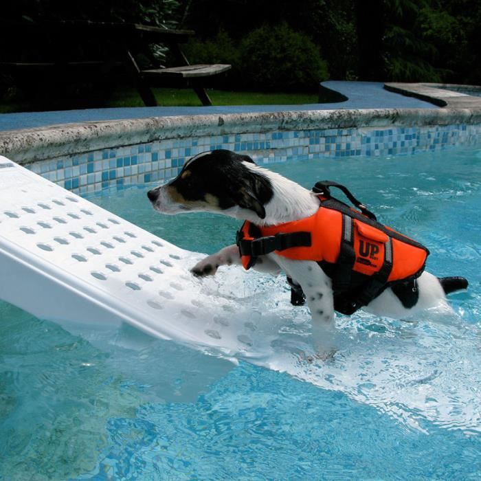Piscine Plastique Rigide Pour Chien Rampe De Piscine Pour Chien Skamper Ramp Achat Vente Echelle