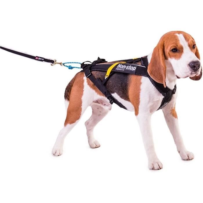 Non-Stop dogwear - Harnais Canicross Freemotion pour Chien - Taille 4  688429 - Cdiscount