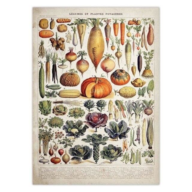 Poster Adolphe Millot Champignons Vintage - Affiche Classique 40x60cm Sans Cadre Pour Décoration Murale
