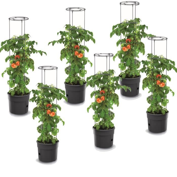 Lot de 6 pots à tomates 12 L avec support pour branches, planteurs à plantes, pour légumes, jardinières aux fraises et concombres