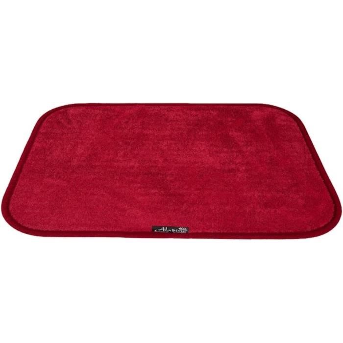 Jantex Grand Tapis D'Entrée Lavable 1500 X 900 Mm - Tapis Antidérapant Qualité Supérieure