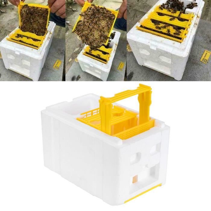 EJ.life Mini ruche abeilles reine reproduction haute densité élevage équipement apiculture