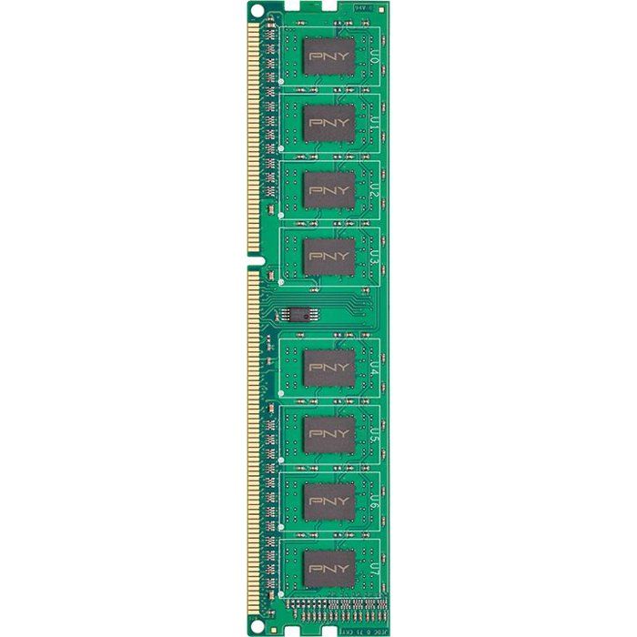 PNY 8 Go de DDR3 RAM PC1600 PNY DIM8GBN128003 SB 1x8GB 1600 MHz Mémoire vive