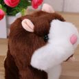 Hamster qui parle drôle en peluche répète ce que vous dites Mimicry Pet Toy Record électronique jouet en interactif pour  POUPEE-1