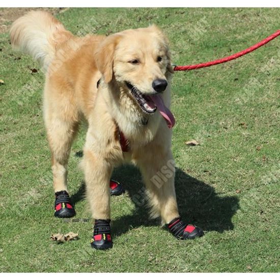 Td Chaussures Chien Neige Impermeable Grandes Moyennes Etanche Hiver Froid Xl Bottes De Protection Chausson Animal De Compagnie